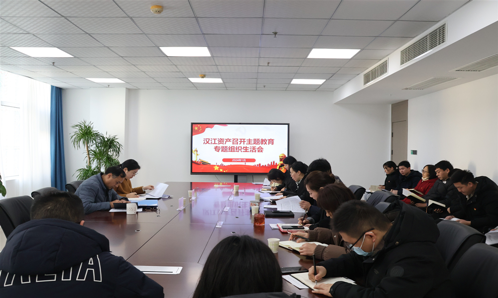汉江资产党支部召开主题教育专题组织生活会.JPG