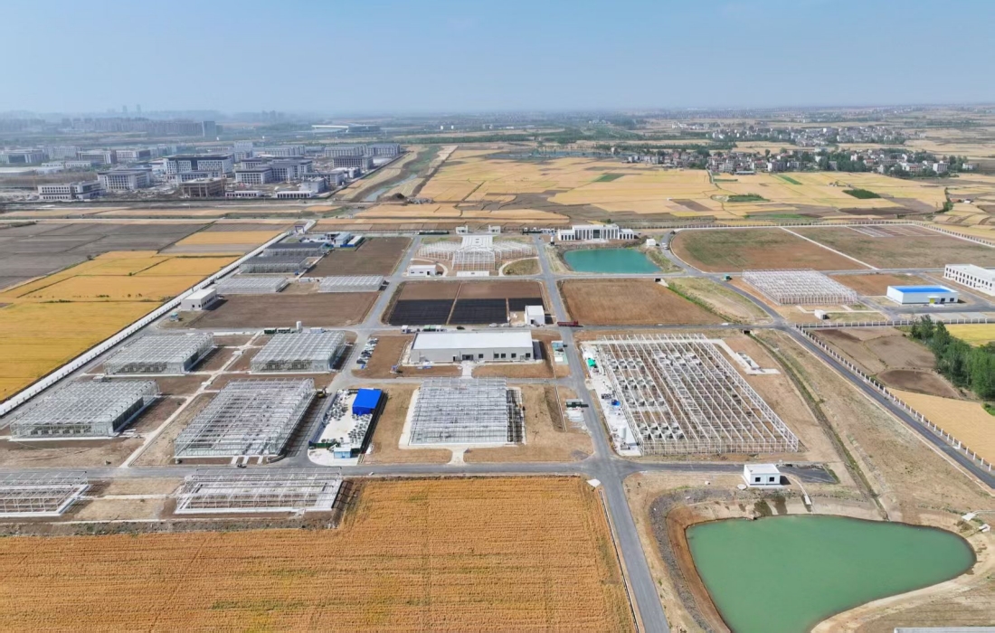 两农项目_官网.jpg 两农项目_官网.jpg