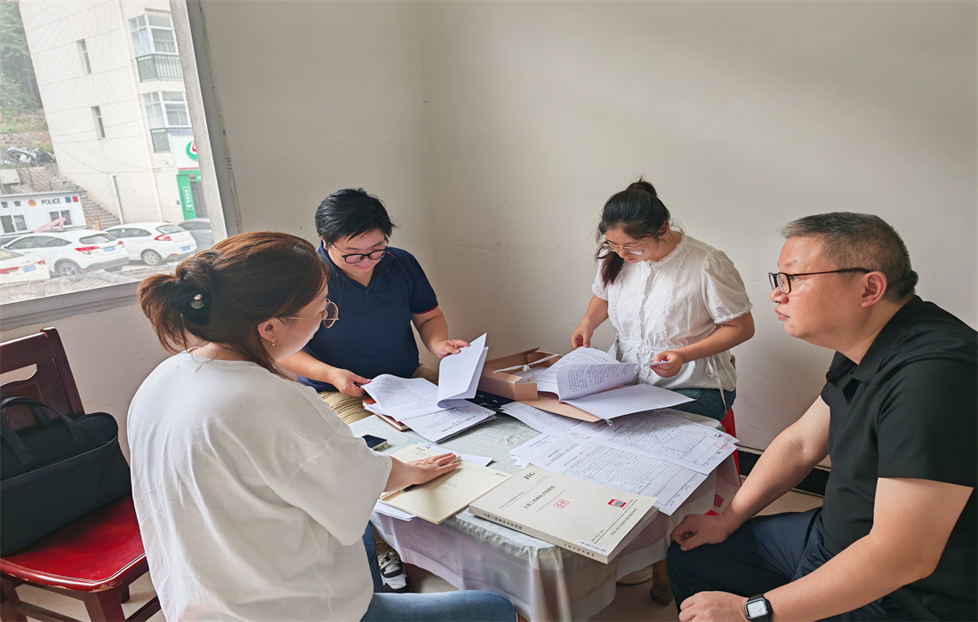 图为检查组成员在驻外试验室现场检查.jpg 图为检查组成员在驻外试验室现场检查.jpg