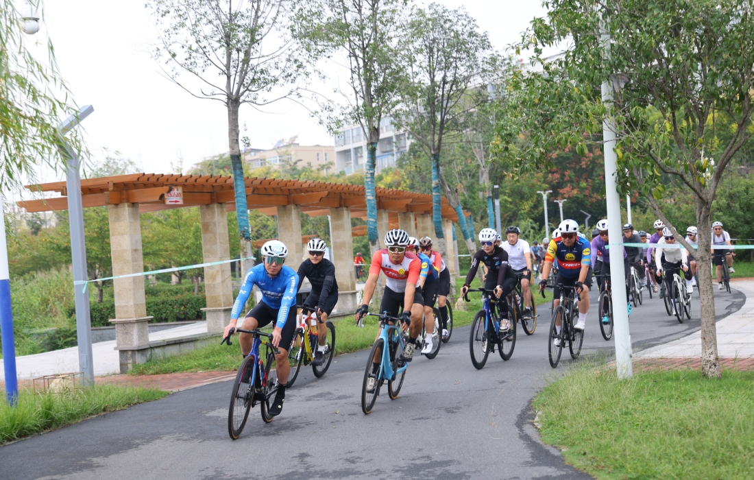 图片6_官网.jpg 图片6_官网.jpg